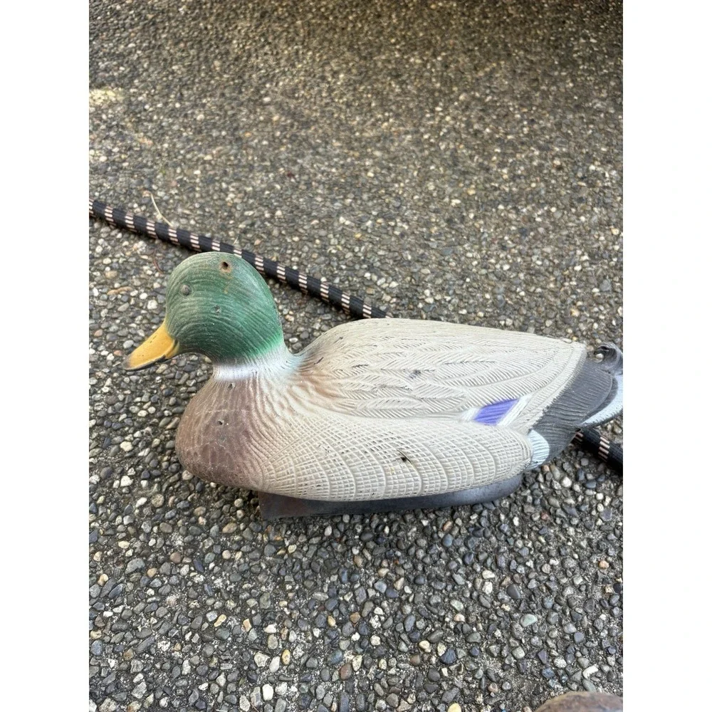 Mallard‎ Drake Duck Floating Decoy Shot Decor